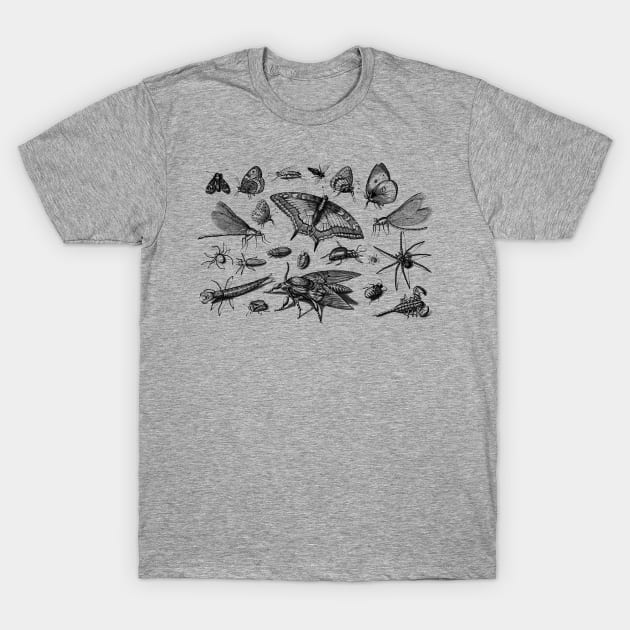 Insects T-Shirt by AltrusianGrace